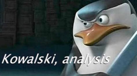 penguins of madagascar meme|penguins of madagascar kawasaki.